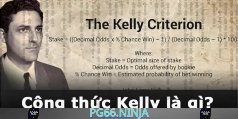 vqz.us.com__Công thức kelly